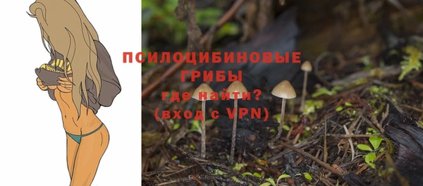 гидропоника Пестово