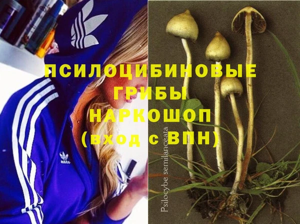 COCAINE Переславль-Залесский