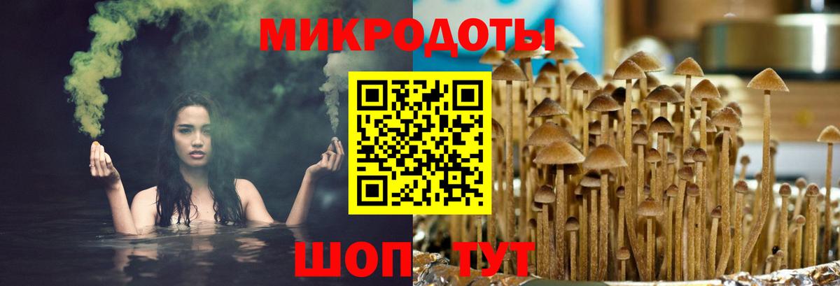 Псилоцибиновые грибы мицелий Шарыпово