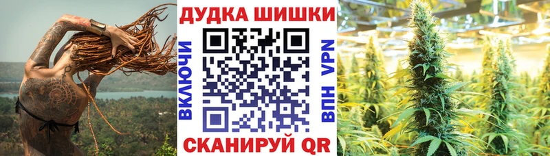 Каннабис сатива  Шарыпово 